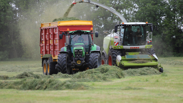 Grasoogst op het land, waarbij gras wordt gemaaid voor ruwvoer.
