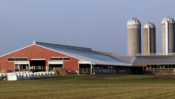 melkveebedrijf Verenigde Staten