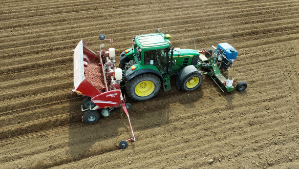 pootgoed frankrijk aardappelen poten