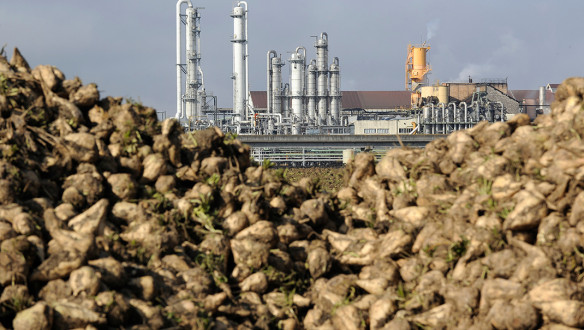 suikerbieten suikerfabriek