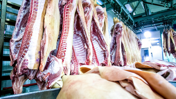 Varkenskarkassen hangen in een slachthuis klaar voor verwerking