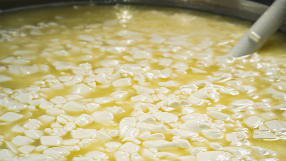 Kaasproductie in een zuivelfabriek