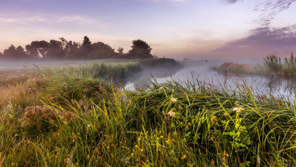stikstof natuur Overijssel