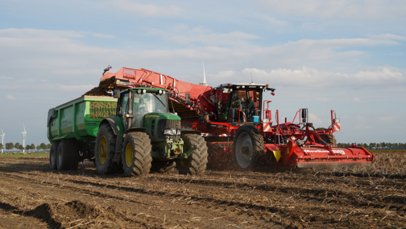 Oogst van aardappelen, akkerbouw