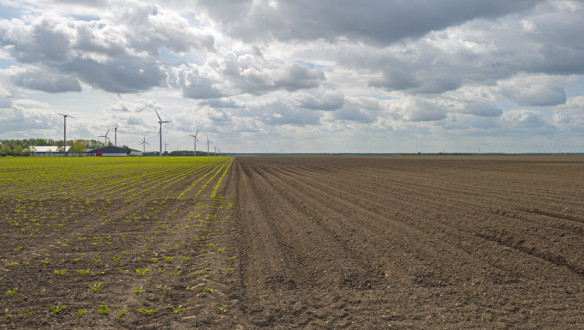 Akkerland met voren in het zonlicht in het voorjaar.