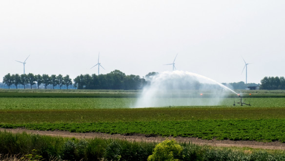 Beregening van akkerland