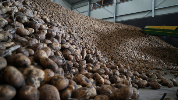 Aardappelbewaring, akkerbouwbedrijf