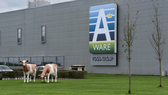 Royal A-ware Food Group in Heerenveen produceert kaas, verse zuivel, room en melkpoeder voor klanten wereldwijd