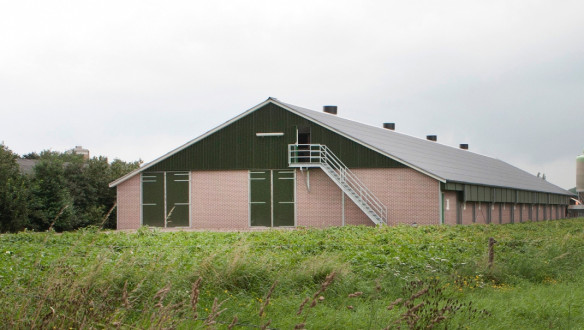 Moderne varkensstal in Nederlands landschap