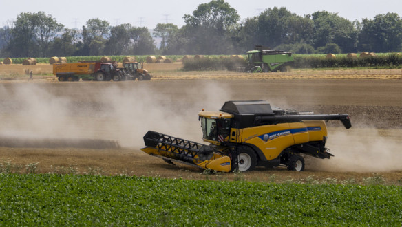 Graanoogst in Frankrijk, combines oogsten tarwe op akkerbouwpercelen
