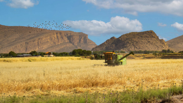 Combine John Deere Iran