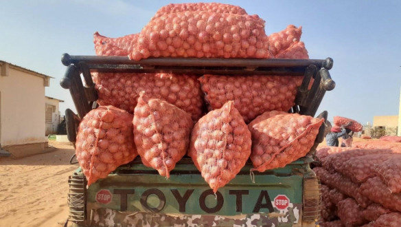 Uien op transport in Senegal