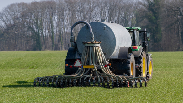 Drijfmest uitgereden op grasland als bemesting.
