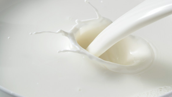 Verse melk, zuivelproduct