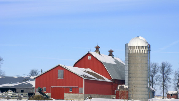 Amerikaans melkveebedrijf