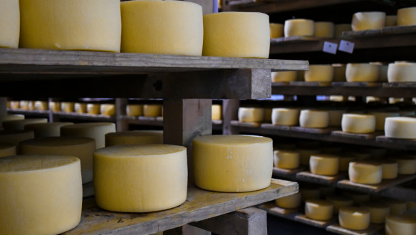Kaas op planken in de fabriek