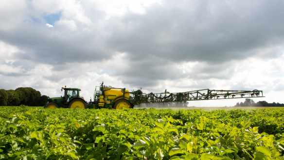 Trekker met veldspuit besproeit een groen gewas onder een bewolkte lucht.