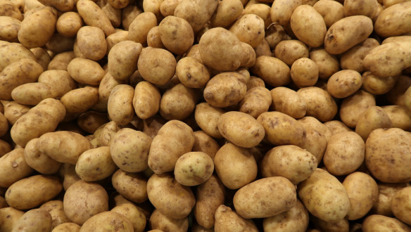 Verse aardappelen in opslag