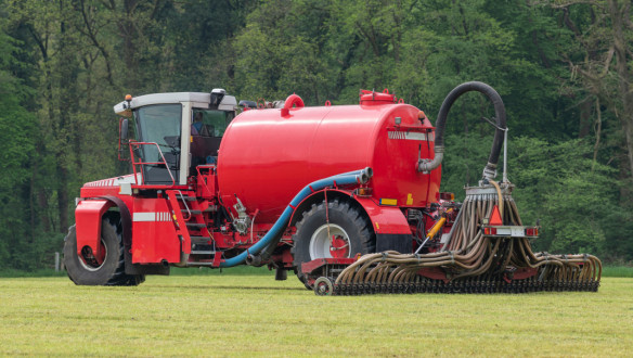 Zodebemester op gras na maaien