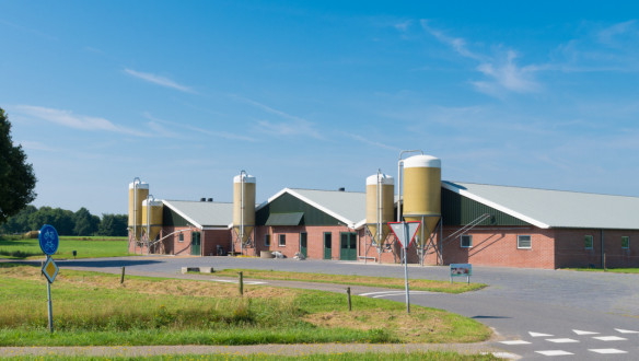 Veehouderij in Nederland