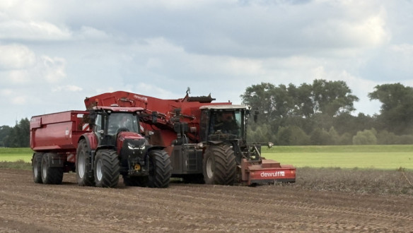 Aardappeloogst Fontane voor fritesindustrie