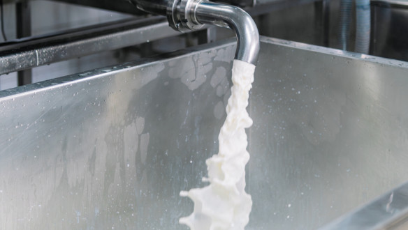 Melk gieten uit een kraan in een vat tijdens de verwerking in een moderne zuivelfabriek