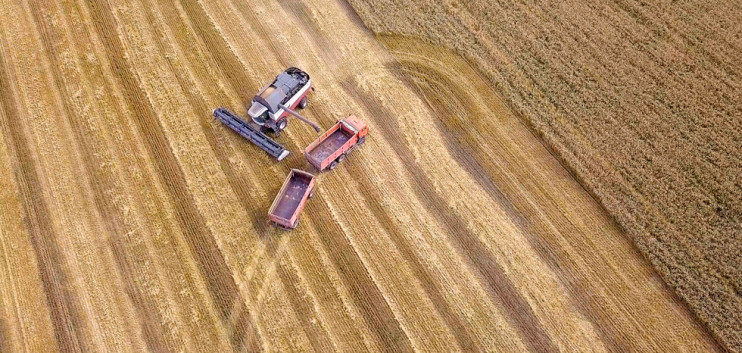 Europe turns its attention to grains from Russia – analysis of grains and raw materials