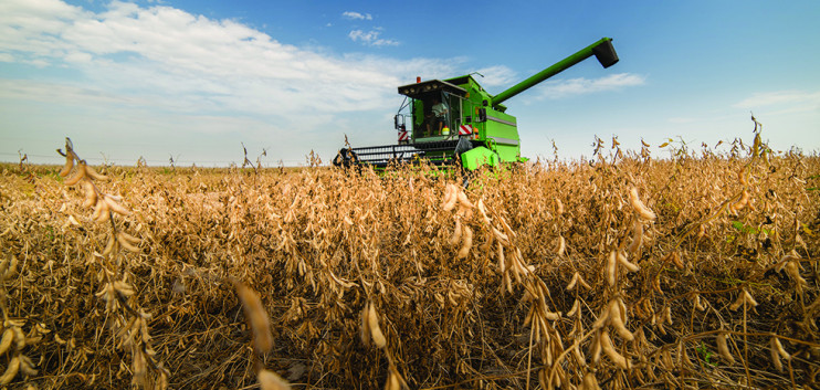 Up to 8 million tons of soybeans sank in Brazil – analysis of grains and raw materials