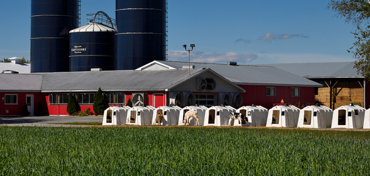 Canada Stops US Milk Invasion – Dairy News