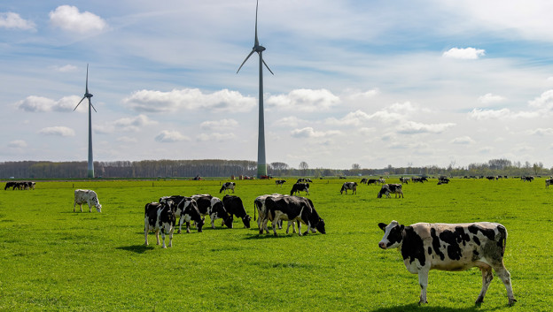 ‘Door relatief korte berichten op de hoogte’ - Interview Mark van Kranenburg