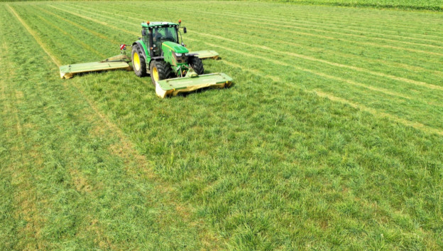 Grasland in droge zomer: wat doen met maaiperceel? - Aangeboden door Limagrain - Boerenbusiness.nl