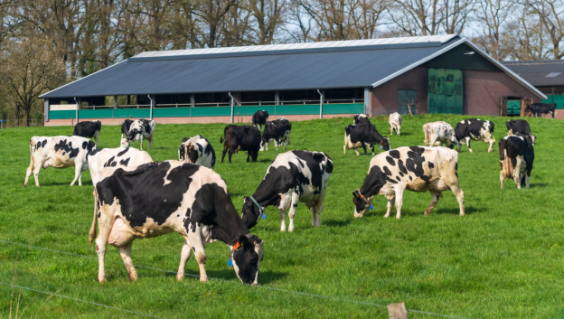 Voorjaar zet handel op ruwvoermarkt in beweging