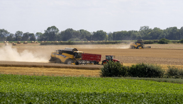 Handel raamt graanoogst Europa op bovengemiddeld