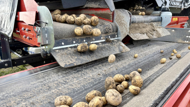 Aardappelhandel Flevoland onderzoekt bundeling bedrijven