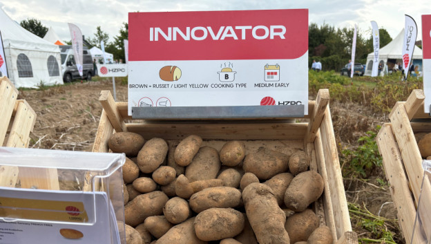 Simplot-Clarebout wants more Innovator and quality | DCA Market ...