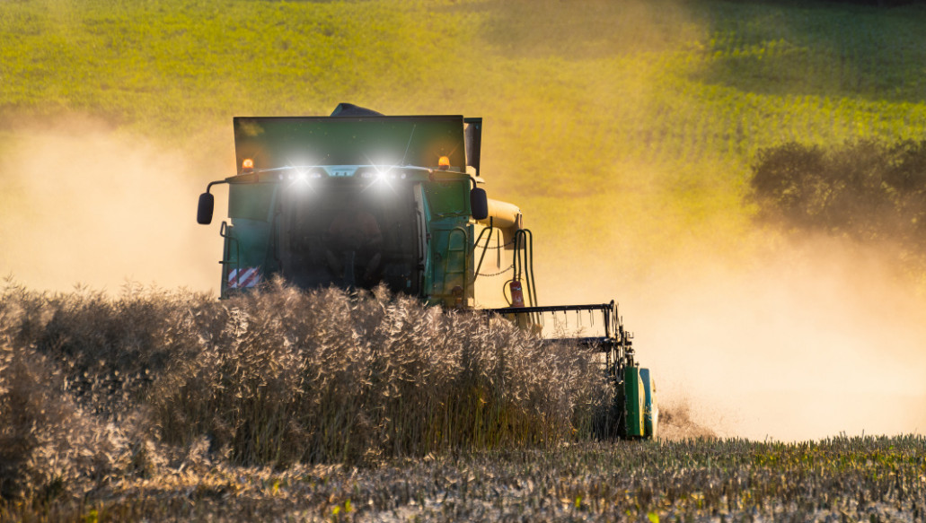 Crops & Ingredients market insight from DCA Market Intelligence