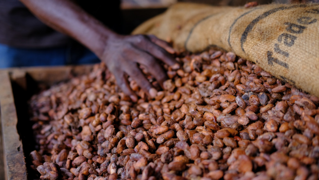 Cocoa crop concerns push futures higher