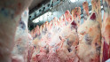 Rundvleesmarkt Australië floreert door droogte VS 
