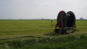 Groei raakt helemaal uit het gras 