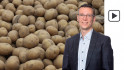 Eerste PotatoNL-notering niet de laagste ooit 