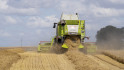 Nederland kan profiteren van Europese droogte 