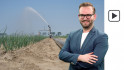 Regen laat het afweten, droogte zet door 
