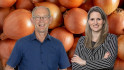 Areaal zaaiuien groeit ondanks wisselende prijzen 