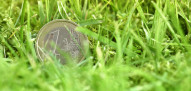 financieel gras euro valuta
