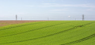 akkerbouw grond Engeland UK graan - agri
