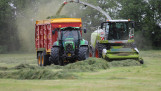 Grasoogst op het land, waarbij gras wordt gemaaid voor ruwvoer.