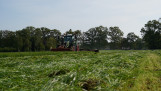 Grasoogst op het land, waarbij gras wordt gemaaid voor ruwvoer.