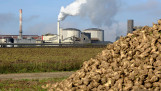 suikerbieten frankrijk suikerfabriek