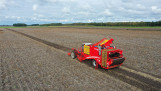 Oogst van aardappelen, akkerbouw