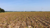 aardappelen Gewastour 2022